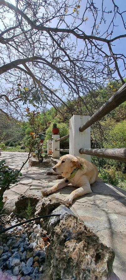 Molino Laroya Villa Екстериор снимка